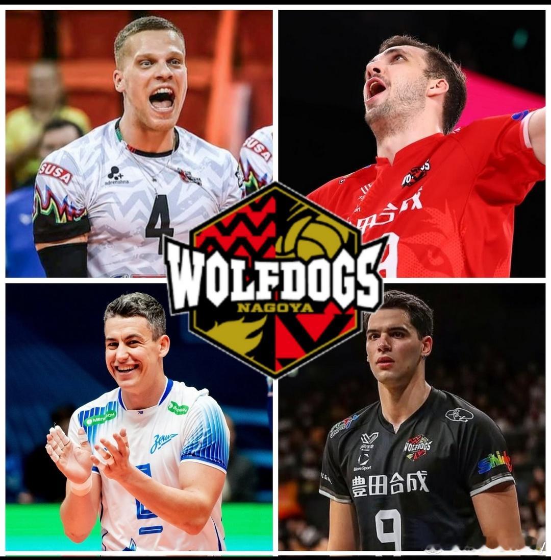 日超名古屋狼犬下赛季四名外援全部敲定，分类是:捷克主攻 扎沃罗诺克波兰副攻 胡贝