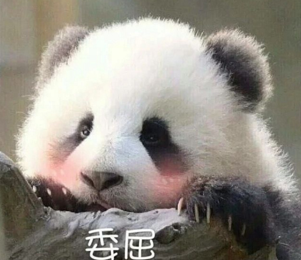 我都忙成这个狗样子了，我还这么想你。我没救了。 ​​​​ ​​​