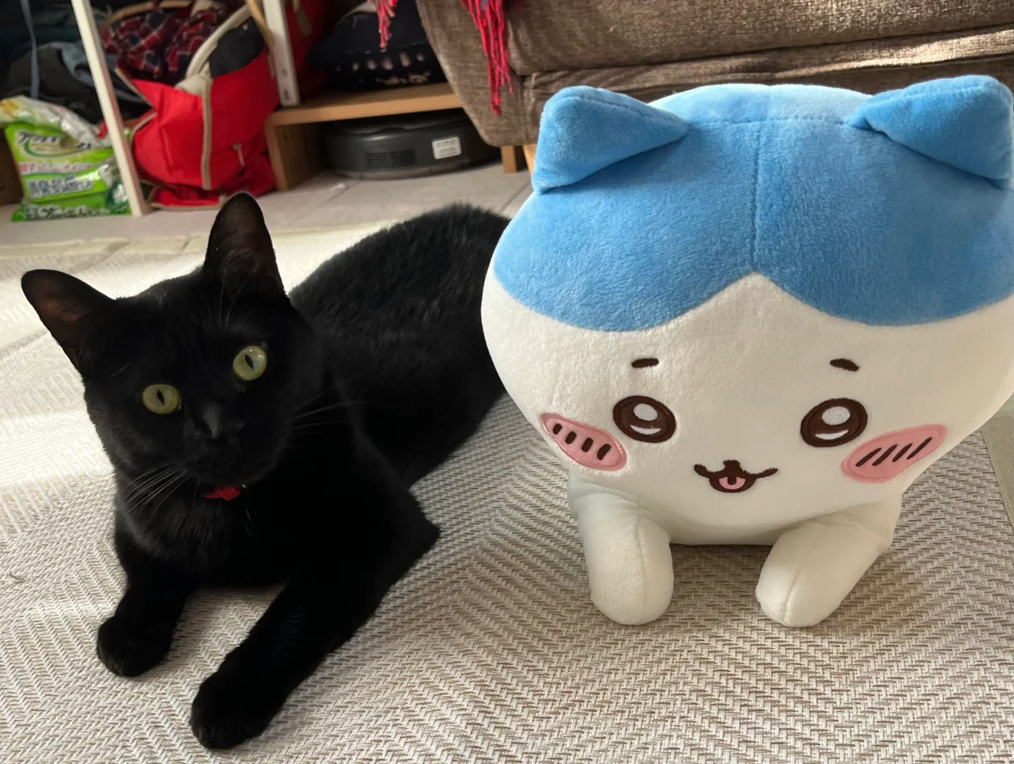 斯芬克斯♪斯芬克斯♪