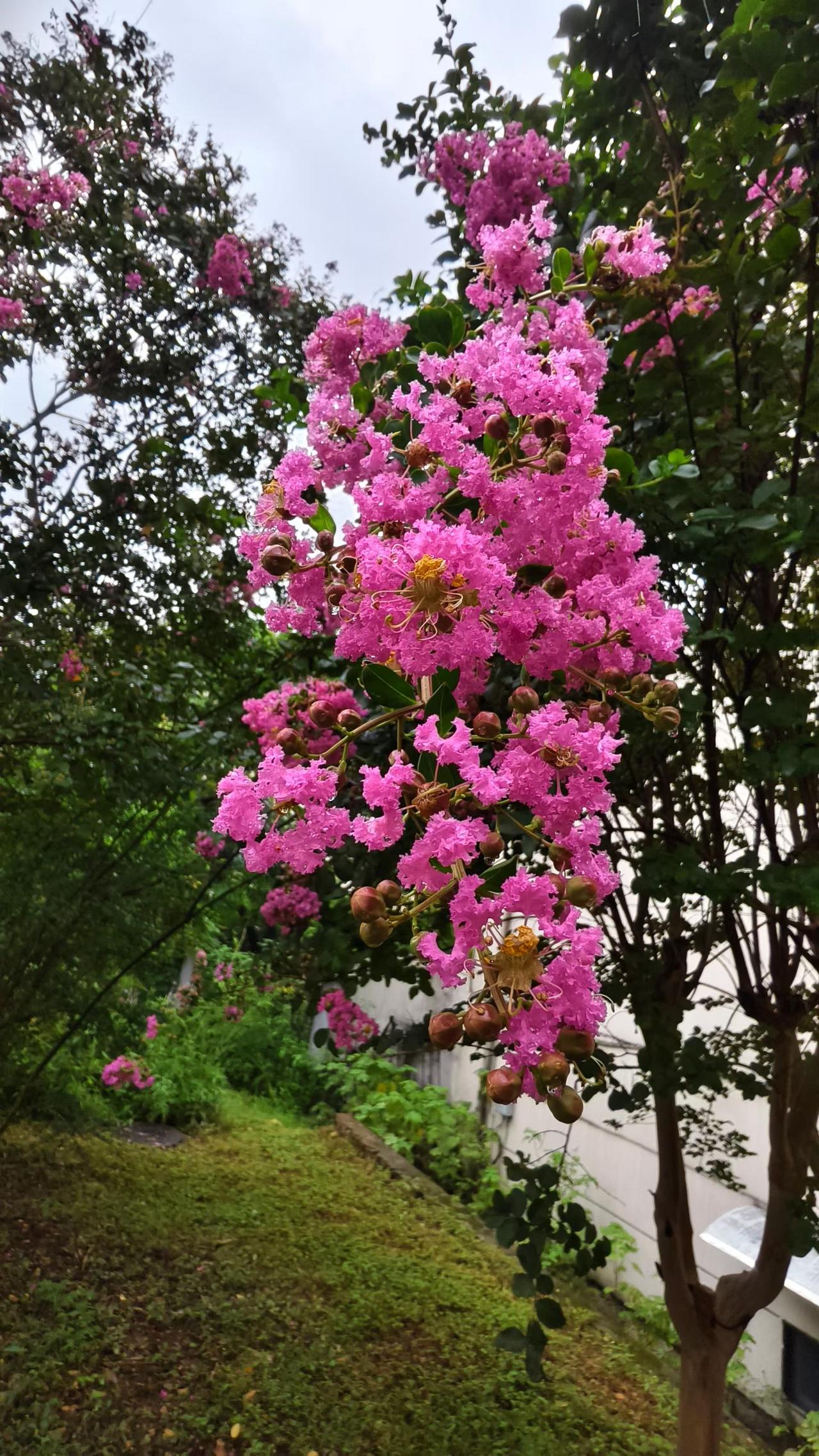 真理直率无比，坚硬无比。
但凡有一点柔顺，也算不了真理 ！

周四午安！