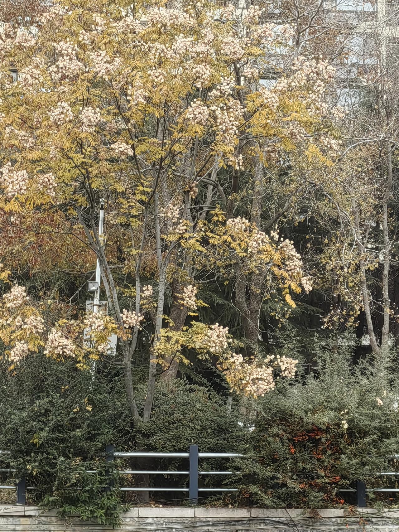 价值交换就是赚钱的底层逻辑