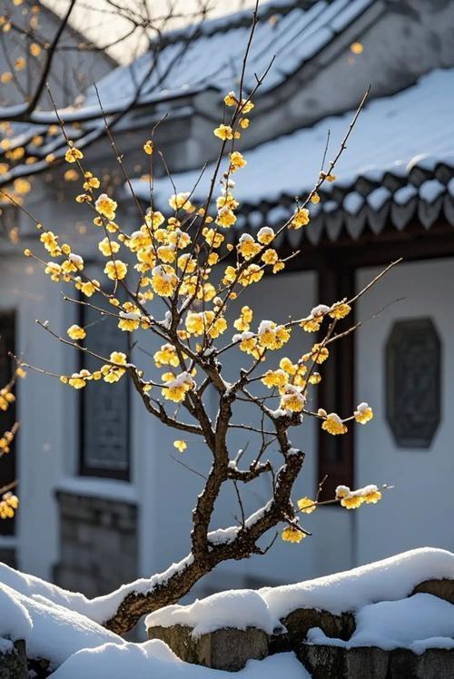 上联：东山折梅晨霜硬
下联：西江垂钓晚风柔