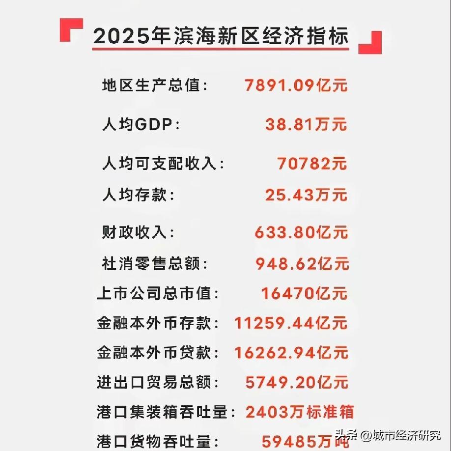 2025年滨海新区各方面经济指标数据水平情况，图片里属于2025年滨海新区各方面