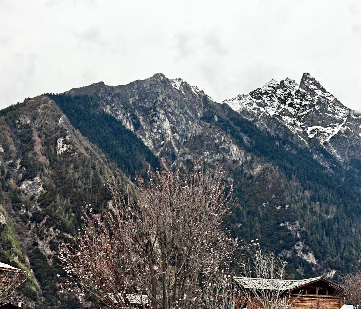 云雾温柔，草木安然，藏着人间最治愈的诗意，赴一场山野浪漫，心也慢慢归于平静。