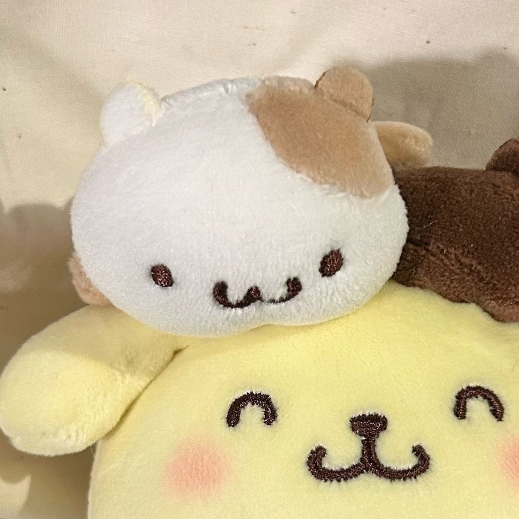 ૮・ᴥ - ა ​​​