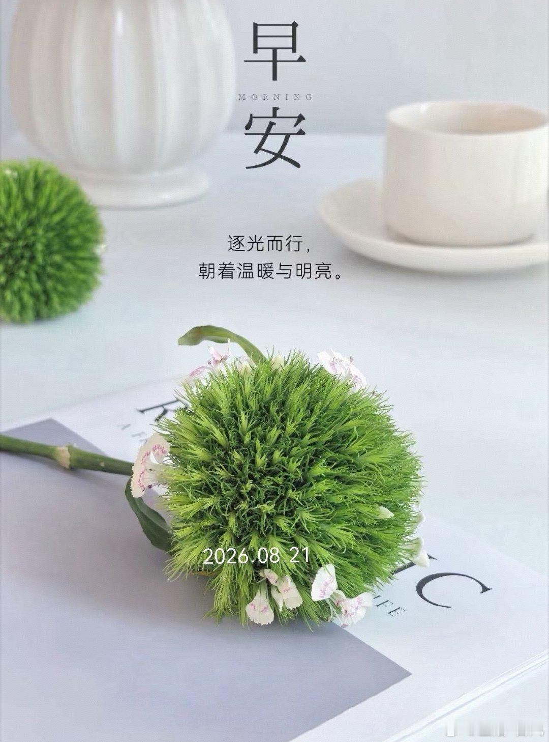 周五早安，把昨天的累放下，今天也要好好走下去☀️ 北京