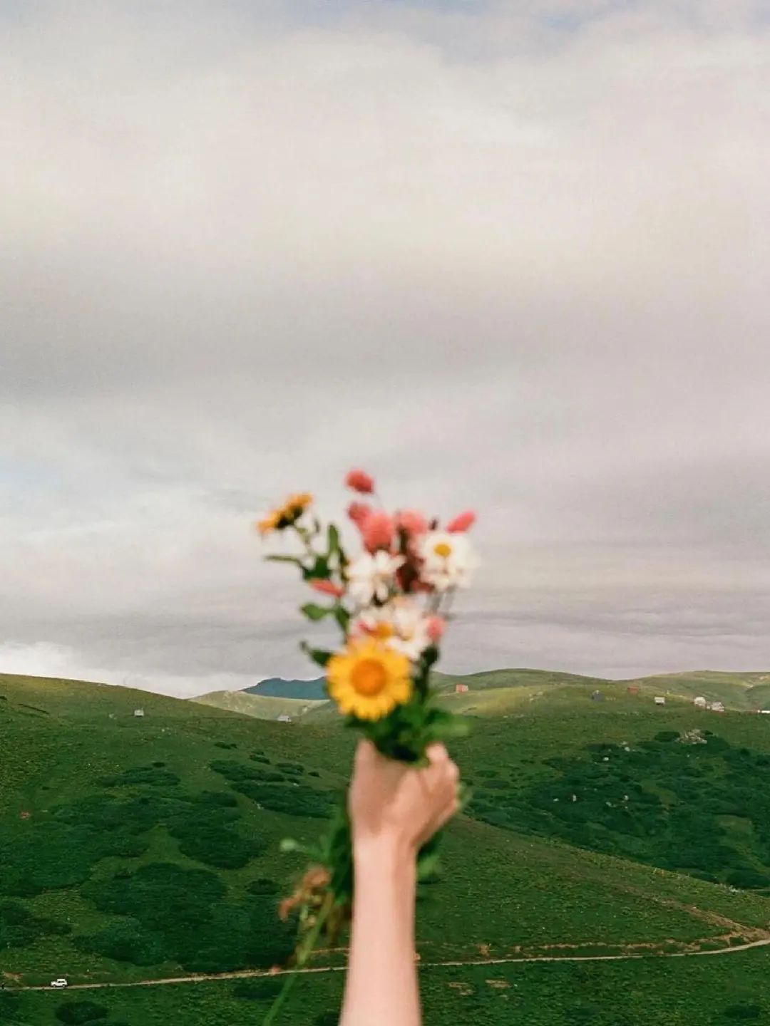 一个人起码要在感情上失恋一次，在事业上失败一次，在选择上失误一次，才能真正的长大