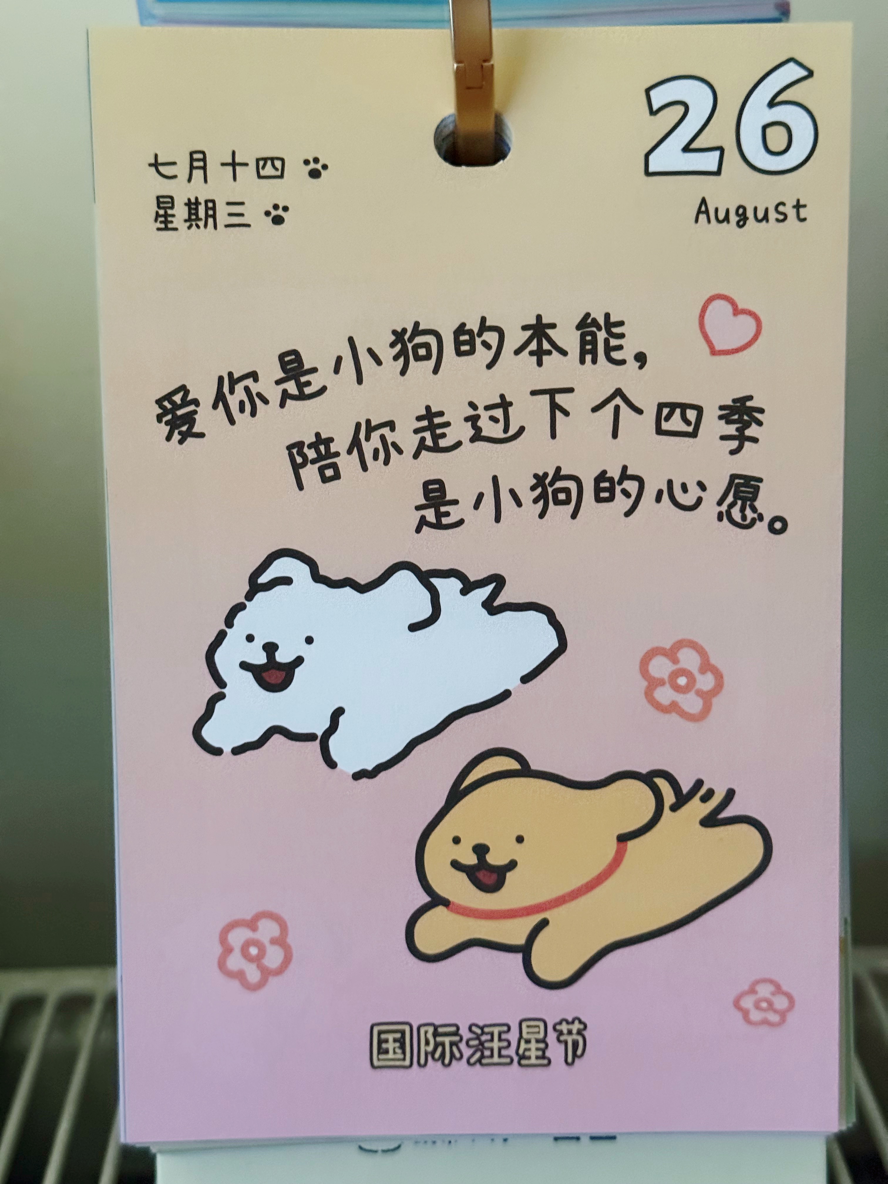 上午好 ​​​