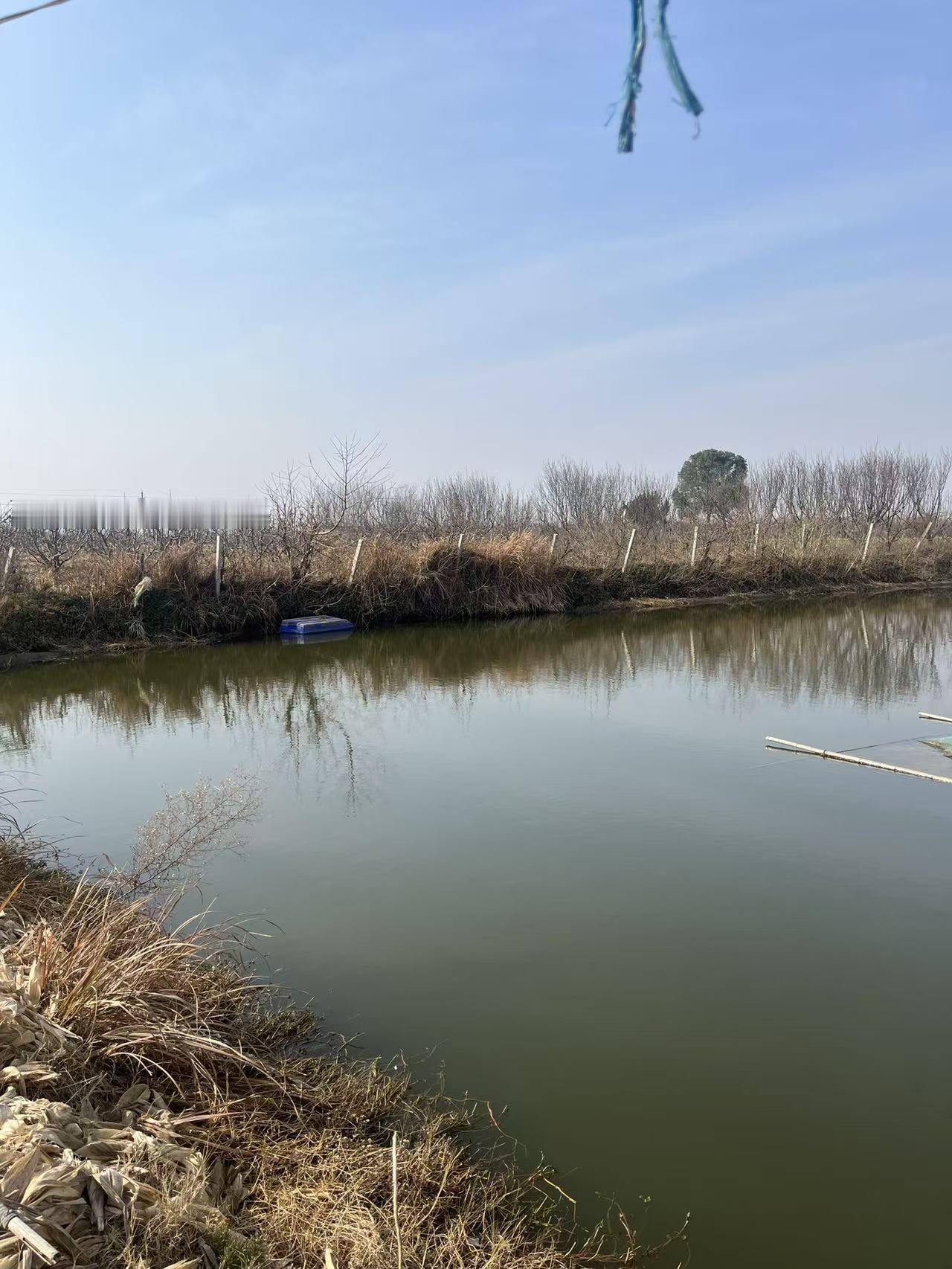 人生的味道，

有悲有喜有淡然，

有甜有苦有惦念！

年少，是懵懵懂懂的酸；