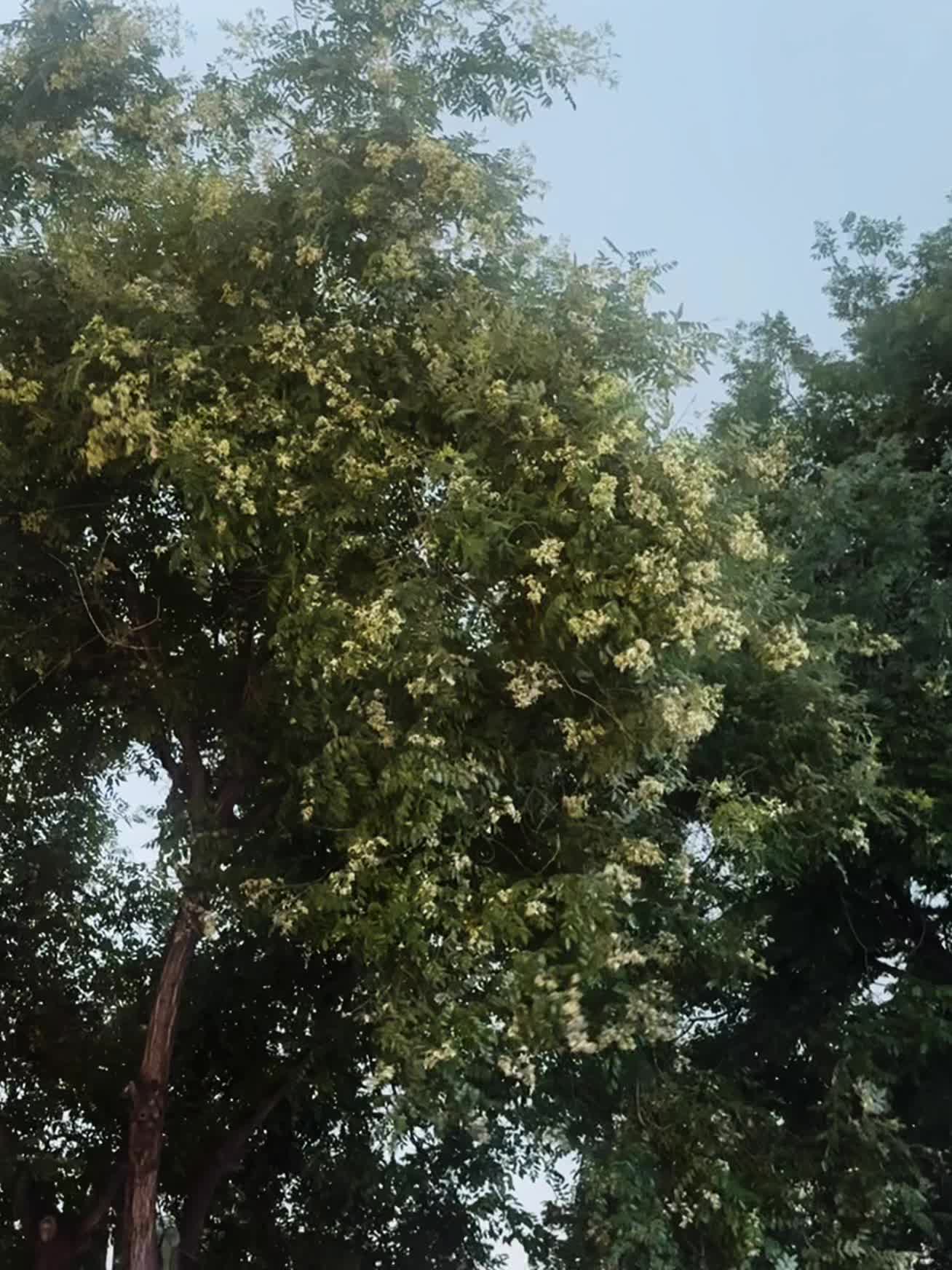 我不爱无聊人间，只偏爱你眉眼