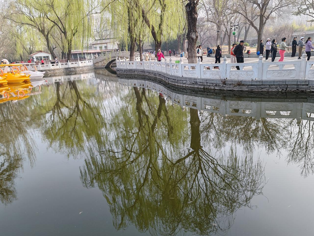 春日生活打卡季春日随拍。