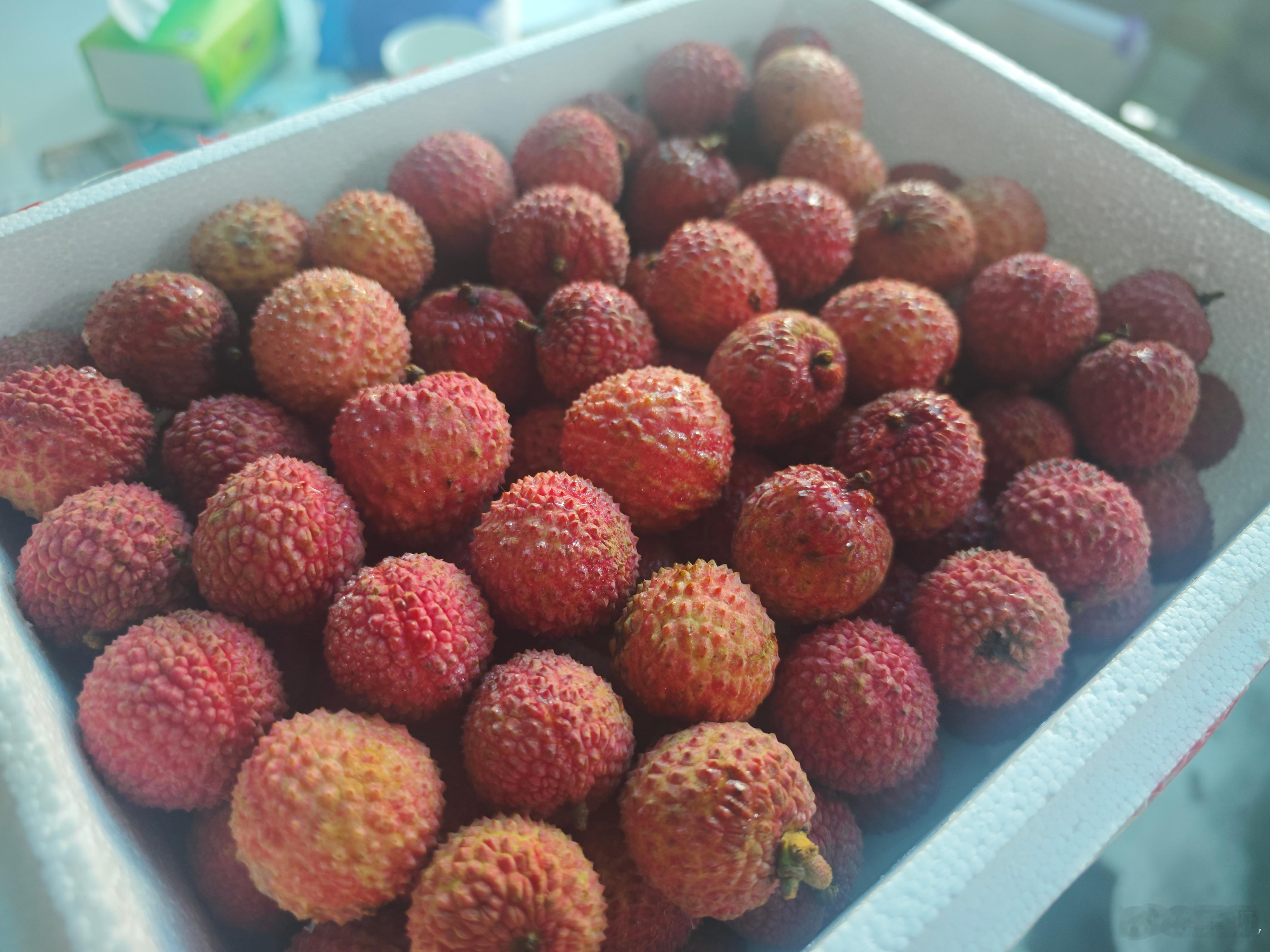 生物学得不好，谁给我讲讲。早饭吃了，上午还吃了二十颗荔枝，但为什么果糖不扛饿，下