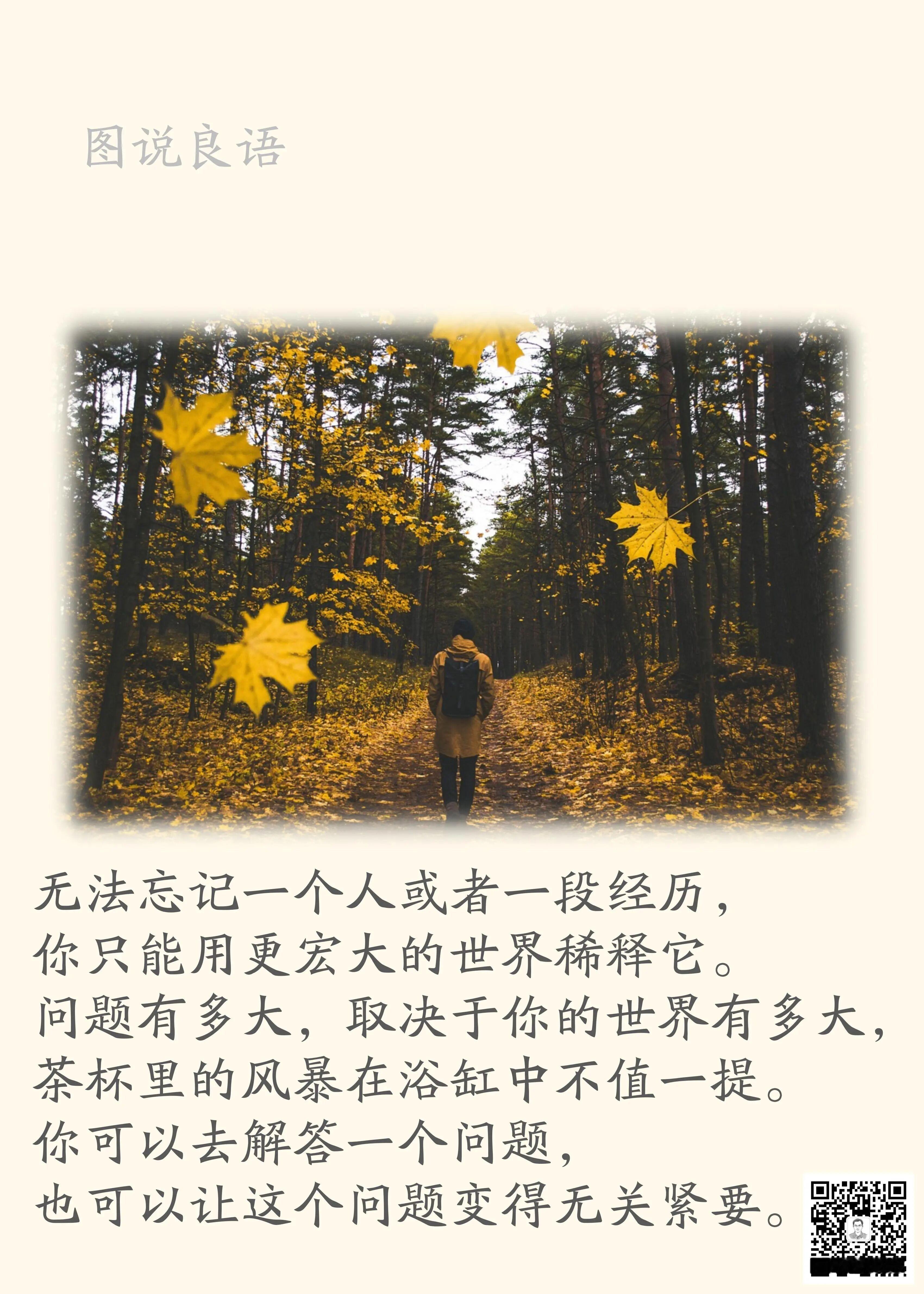 人生思悟  无法忘记一个人或者一段经历，你只能用更宏大的世界稀释它。问题有多大，