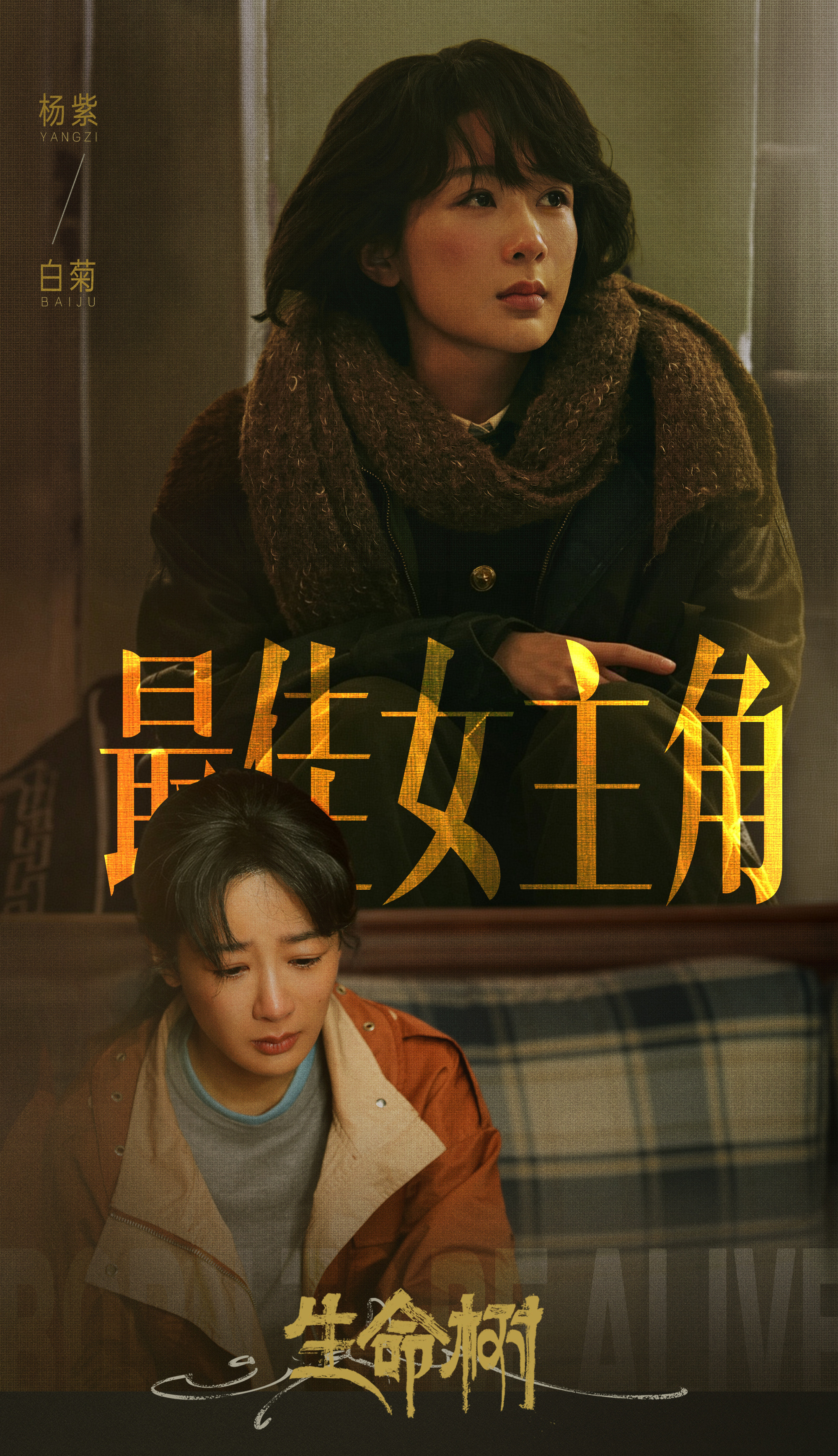 恭喜杨紫白玉兰视后！你值得！你实至名归！你夯爆了 