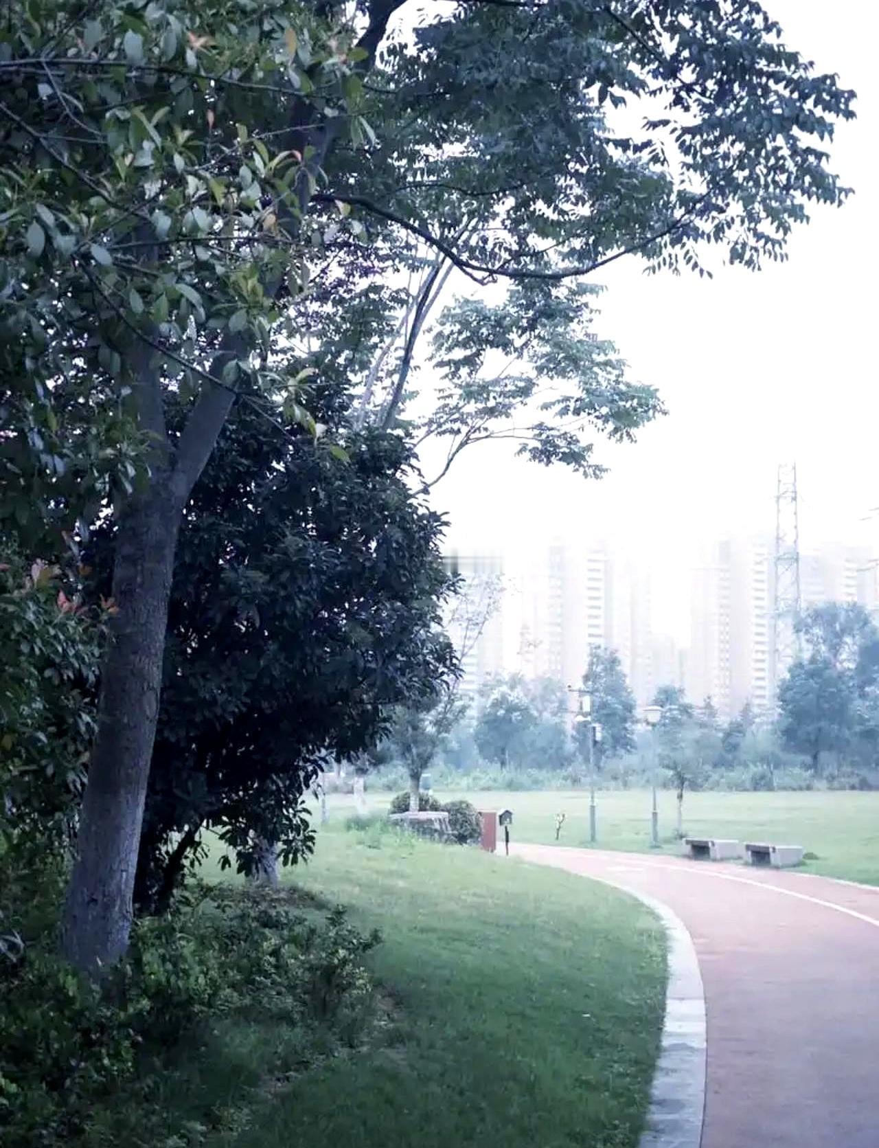 半夜门一响，45岁的小叔子跪进来，说再不救就少条腿。
哥连抽几根，烟灰晃到纸杯里