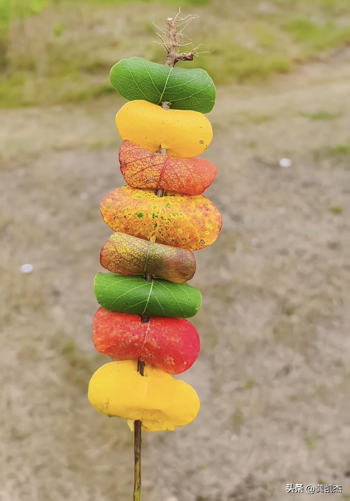 秋天的串串，秋天的味道～～这个创意美不美？