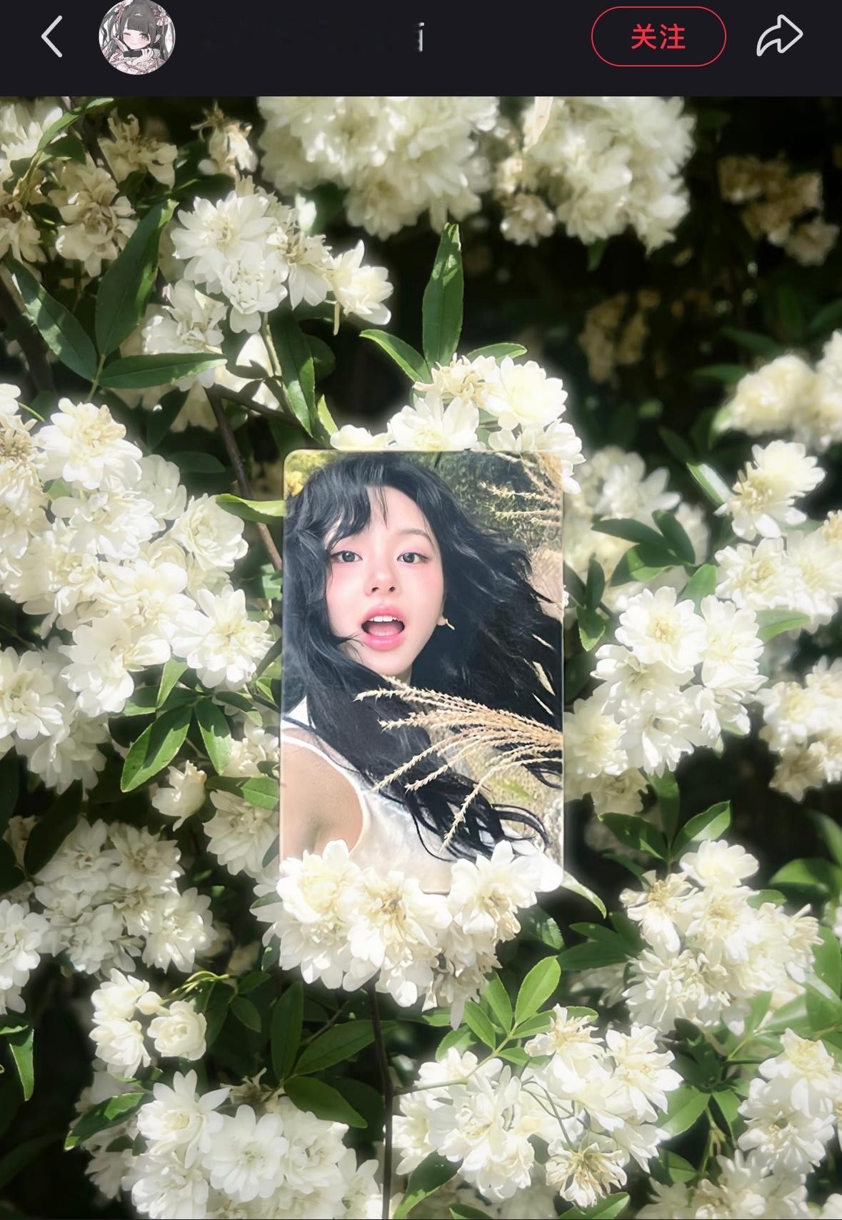 孙彩瑛  好春天的一张卡 