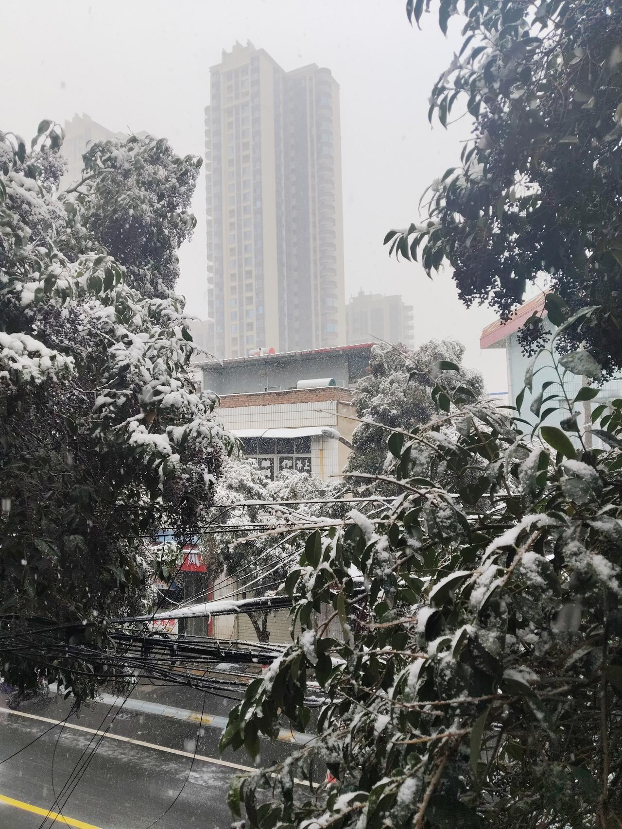 还是被早晨的冰雪世界惊讶到了。
推开房门，
纷纷扬扬的雪花就在半空中飞舞，
清晨