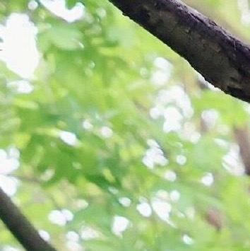熊猫守护者 | ‎熊猫守护者 在生活的路上，善待自己！努力活成自己喜欢的样子，不