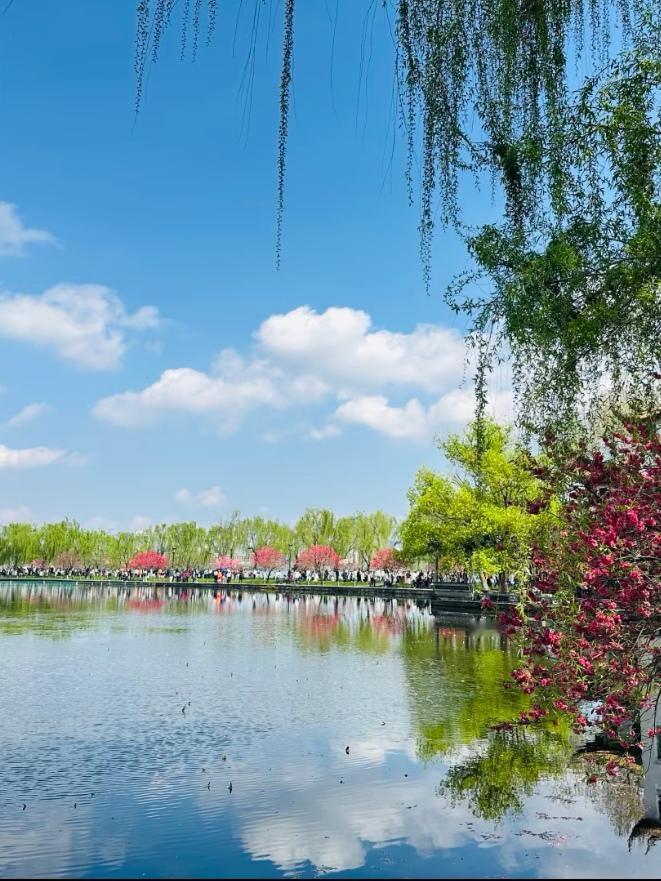 今年春天最想实现的心愿今年春天最想实现的心愿：愿春风拂去烦恼，日子温柔安稳。不负