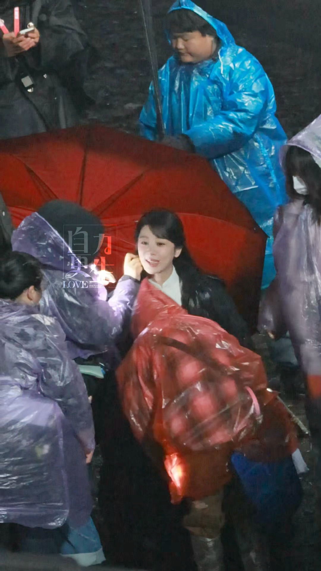 奥宝花絮一则杨紫董竹君杨紫玉兰花开君再来