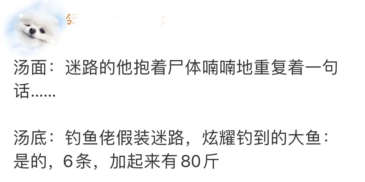 看到一个笑死人的海龟汤