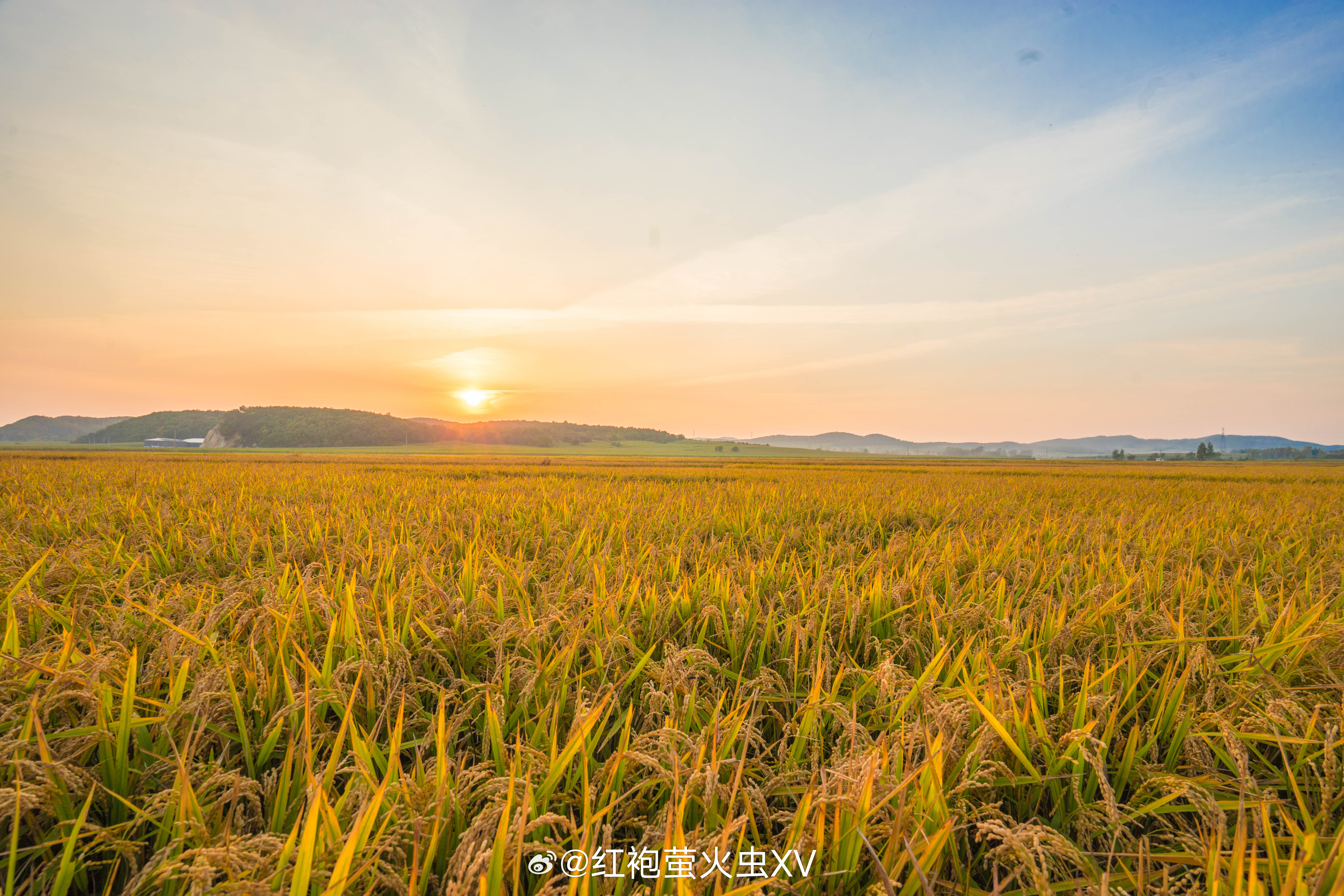 国家统计局：2026 年全国夏粮播种面积基本稳定，单产稳中有升，夏粮产量首次突破
