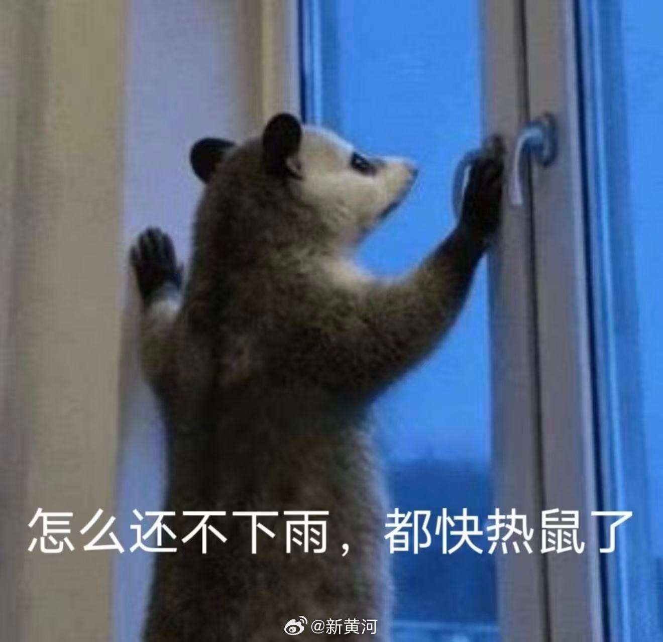 【热~热~热~#济南气温将直冲37℃#】预计5月31日至6月3日，每日11时至1