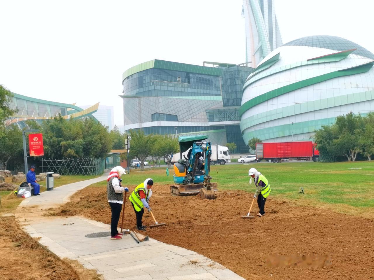 
地标潍坊，又变化了，潍坊大剧院（大草坪）又要焕然一新了，工作人员在辛苦劳作，绿
