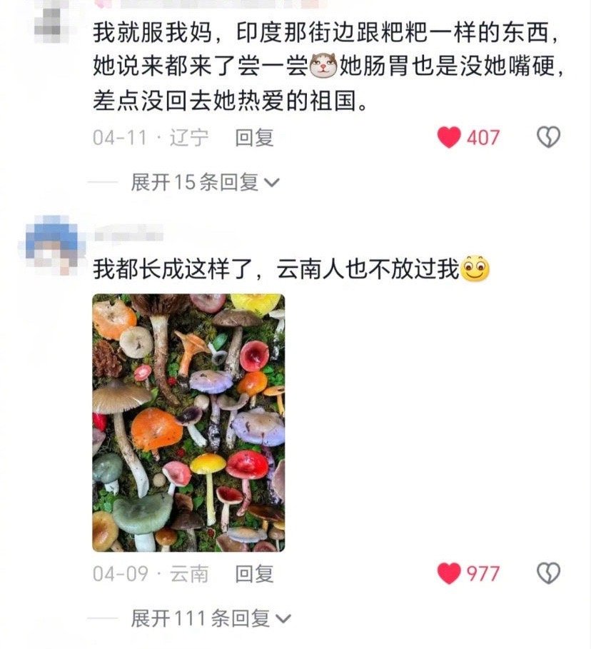 没有什么能逃过中国人的嘴#我的春日狂欢日记# ​​​