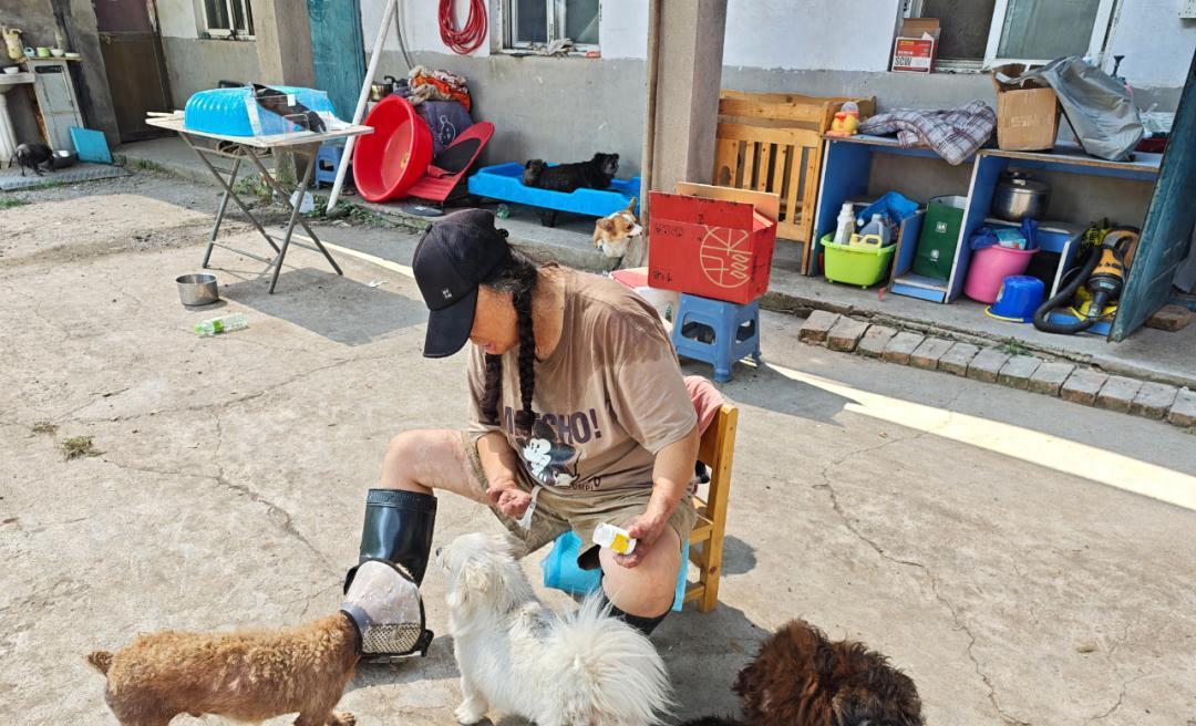 河南残疾女子收养382只猫狗，卖房耗尽积蓄坚持20年；当过主持人，曾在政务单位工