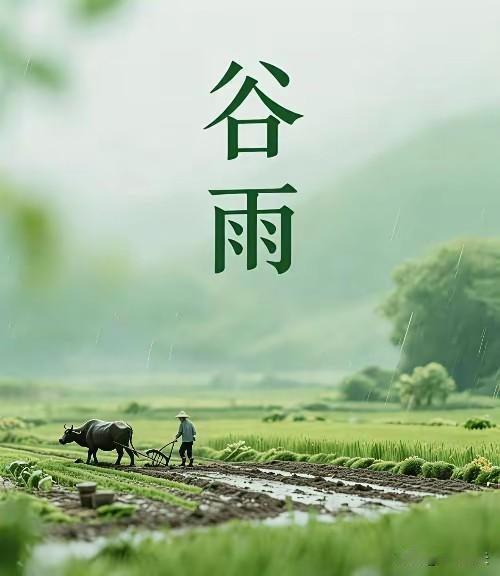 七律·谷雨（通韵）
四月乡村物色妍，禾秧凝翠柳含烟。
流莺啭韵新苗里，归燕衔泥旧