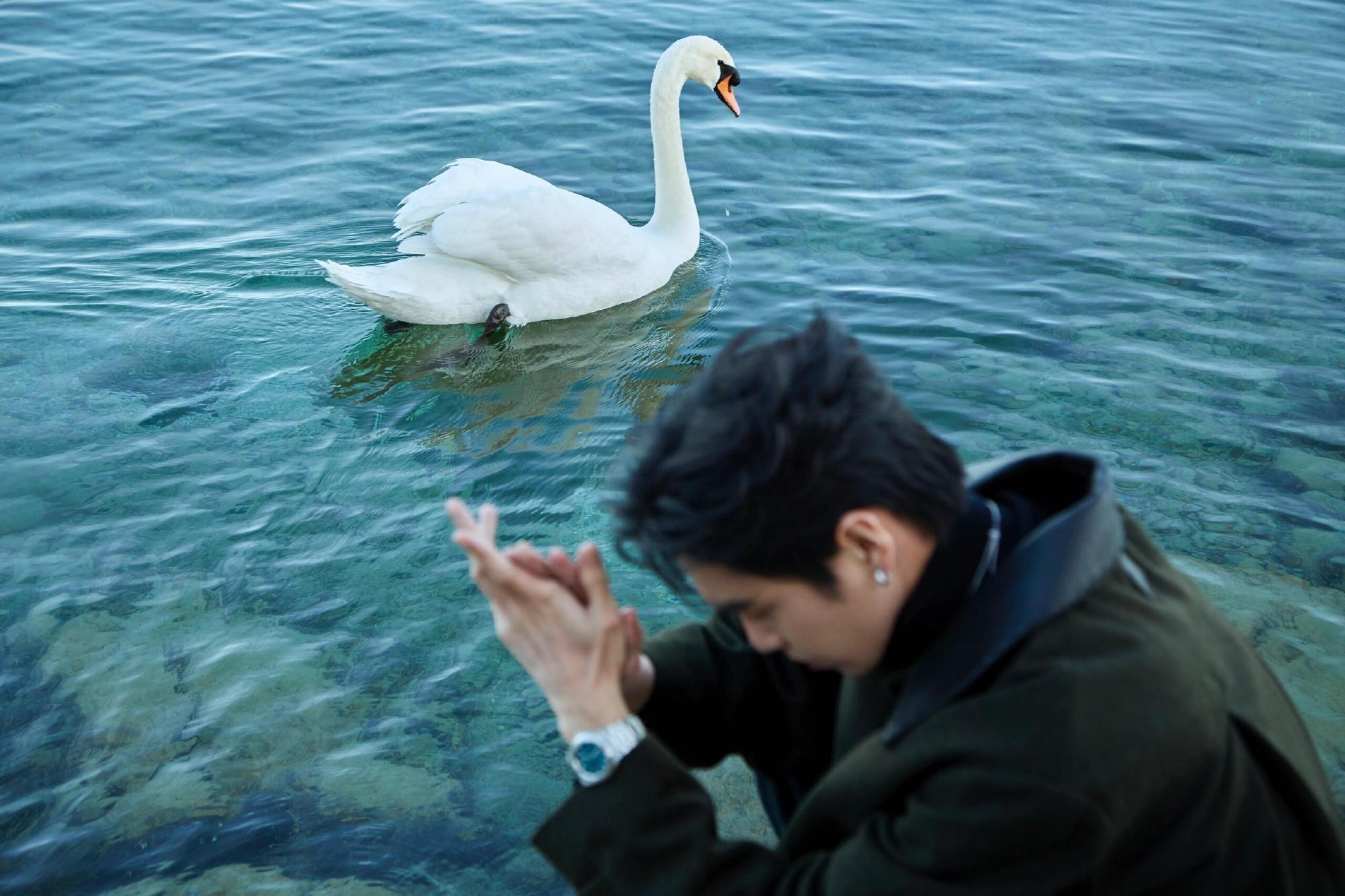 张若昀名誉维权案进展张若昀多起告黑胜诉张若昀多起告黑胜诉！从被P“遗照”到遭恶意