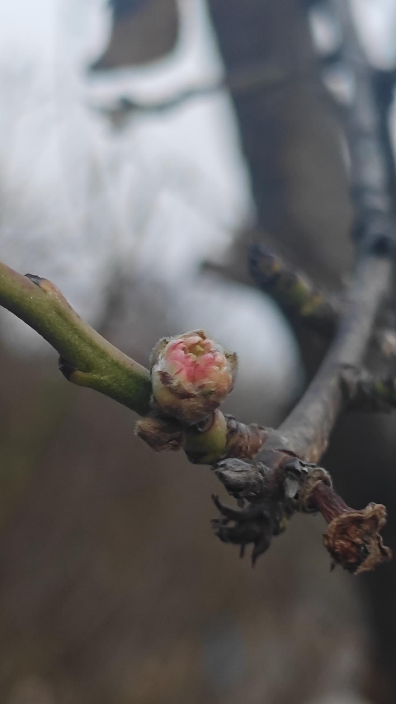 这个春天，我想给生活添一抹“从容”的色彩。不再被琐碎的事务追着跑，而是学会慢下来