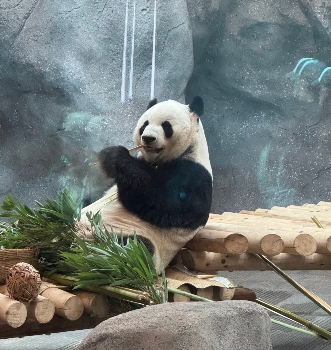 熊猫守护者[超话] 感知幸福的能力。就是幸福本身。 它不是你要去的地方。是你一直