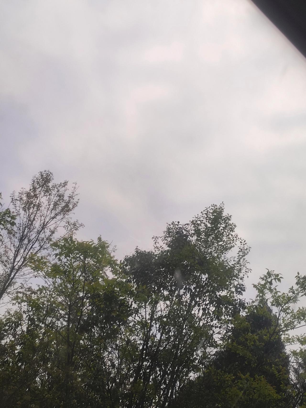 晚上正常直播，感谢大哥大姐支持