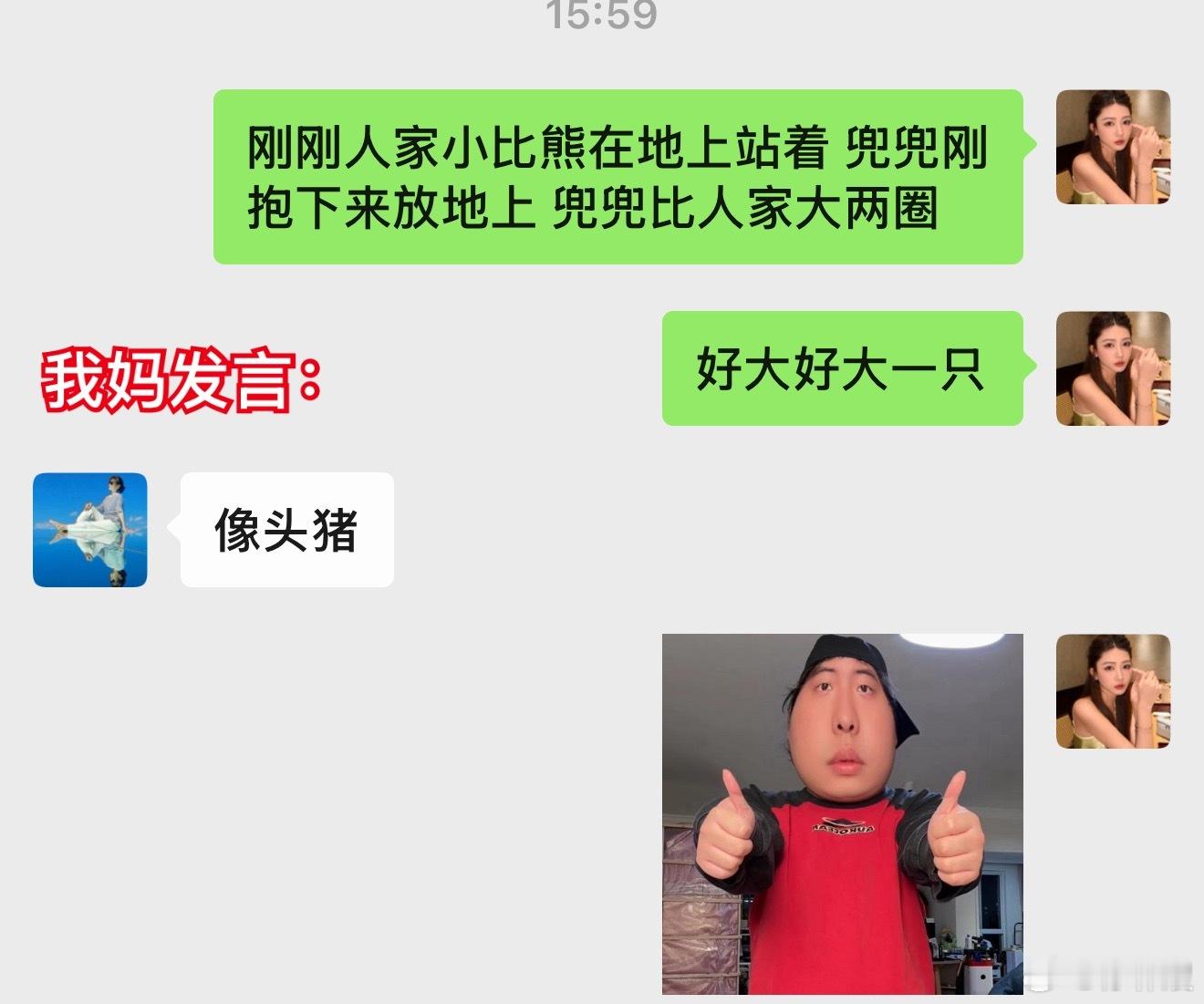 。小型犬 