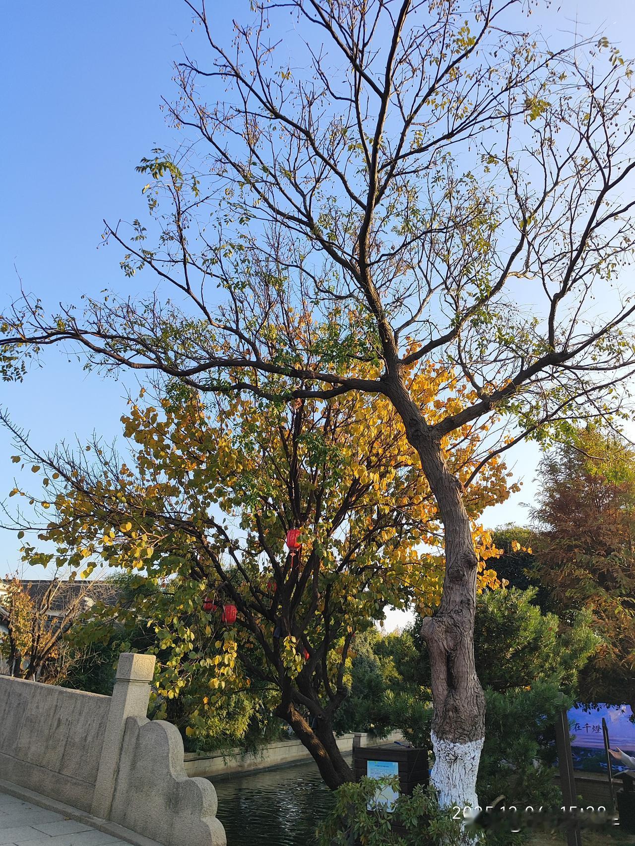 2026最想实现的一件事希望新的一年里事事顺利，身体健康，平安喜乐，大吉大利，好