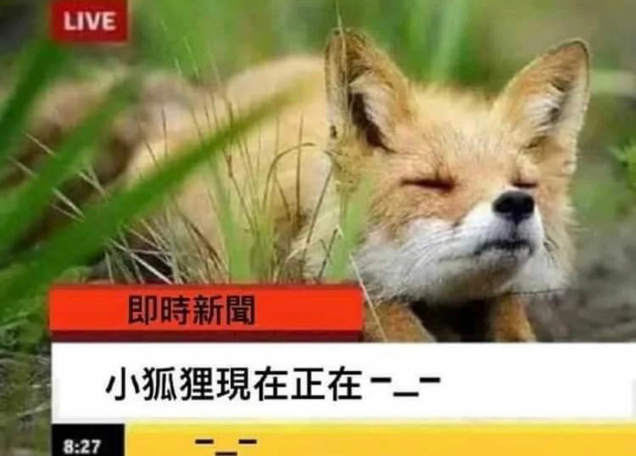 −_−#今日memes# //#新年快乐漫游指南# //#转发接龙开新年# ​​