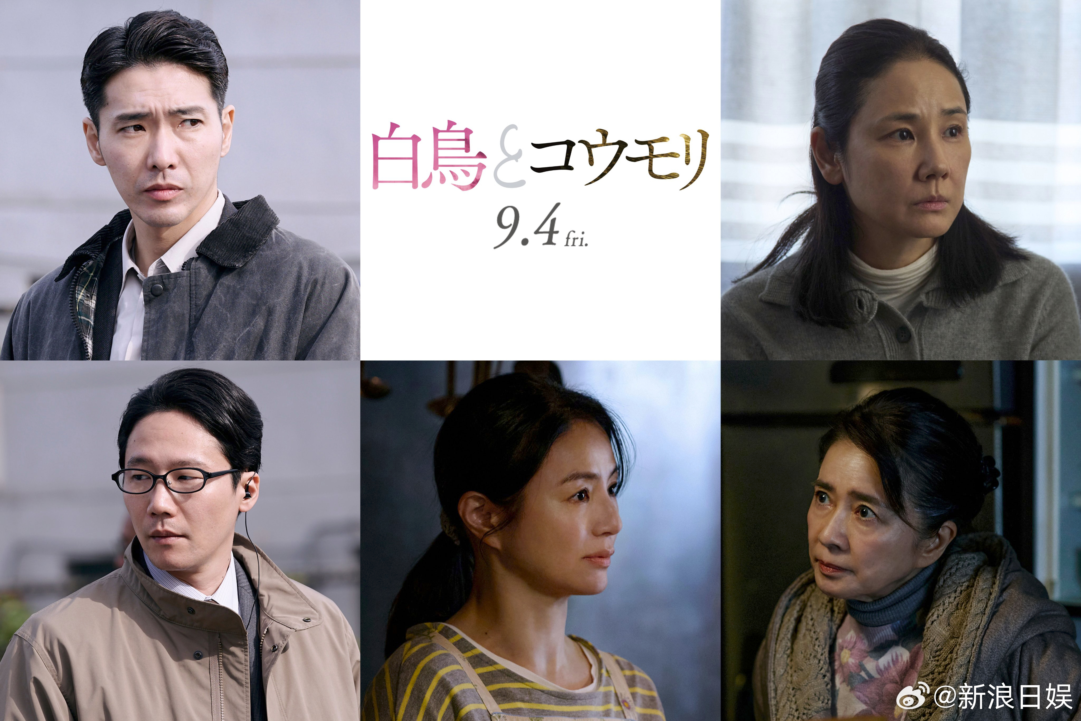 海外影视速递松村北斗今田美樱 双主演电影《白鸟与蝙蝠》确认柄本佑前原滉井川遥吉田