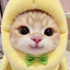 窦靖童宋妍霏手牵手遛狗女生手牵手没事吧？男的手牵手才有事儿…… ​​​