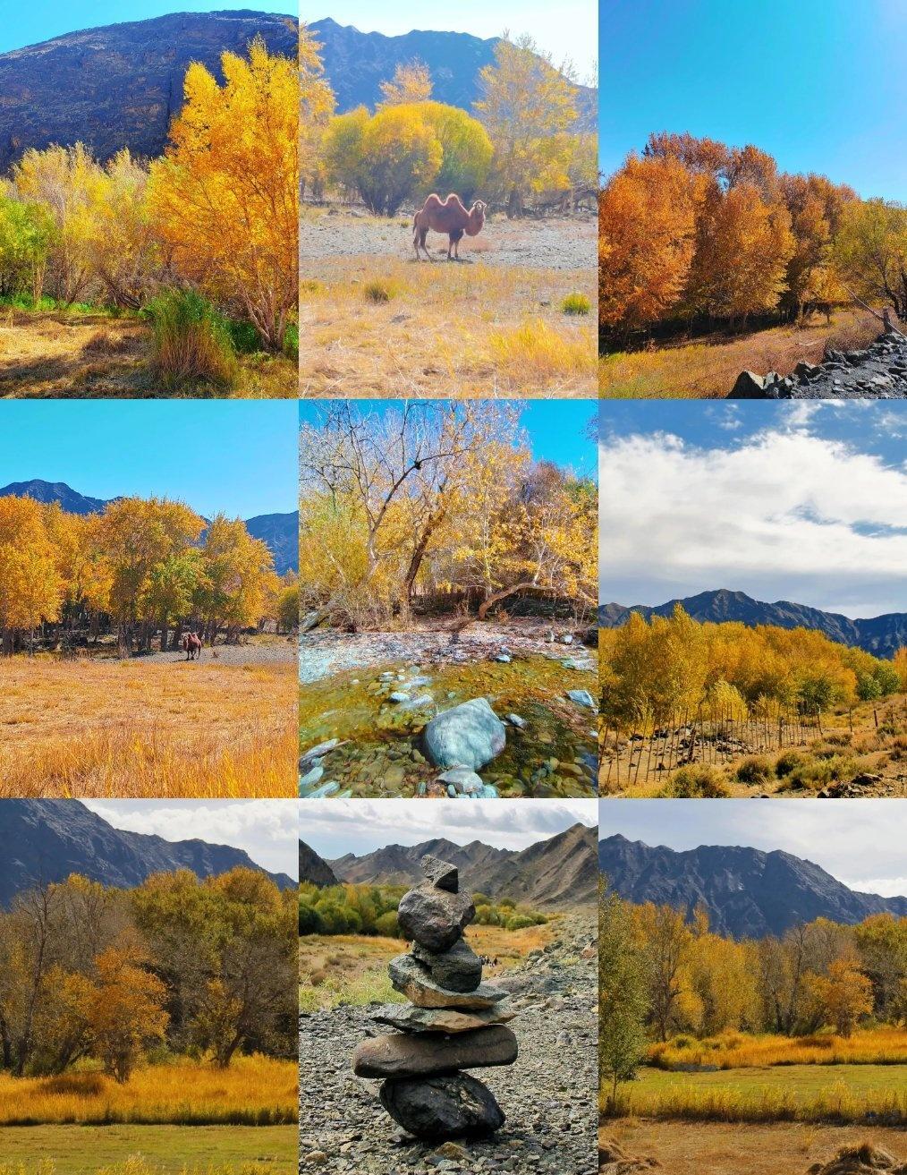 🌲苏拉夏沟位于乌鲁木齐县柴窝铺乡白杨沟村，距离乌鲁木齐约1.5小时的车程。在这