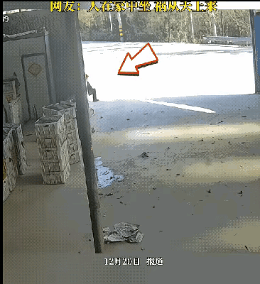 我看是被大货车先抢到了