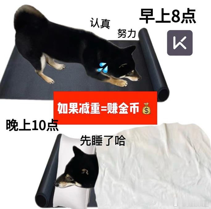 Keep 响应需求，AI 教练来助力。专业指导，科学训练，让健身更高效、更便捷，
