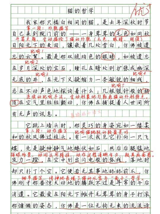 🔥“动物类”万能作文——猫的哲学