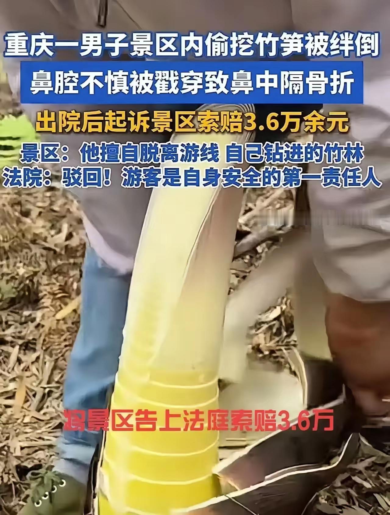 奇葩！重庆男子偷挖竹笋受伤反告景区重庆一男子景区偷挖竹笋自食苦果。反倒起诉景区索