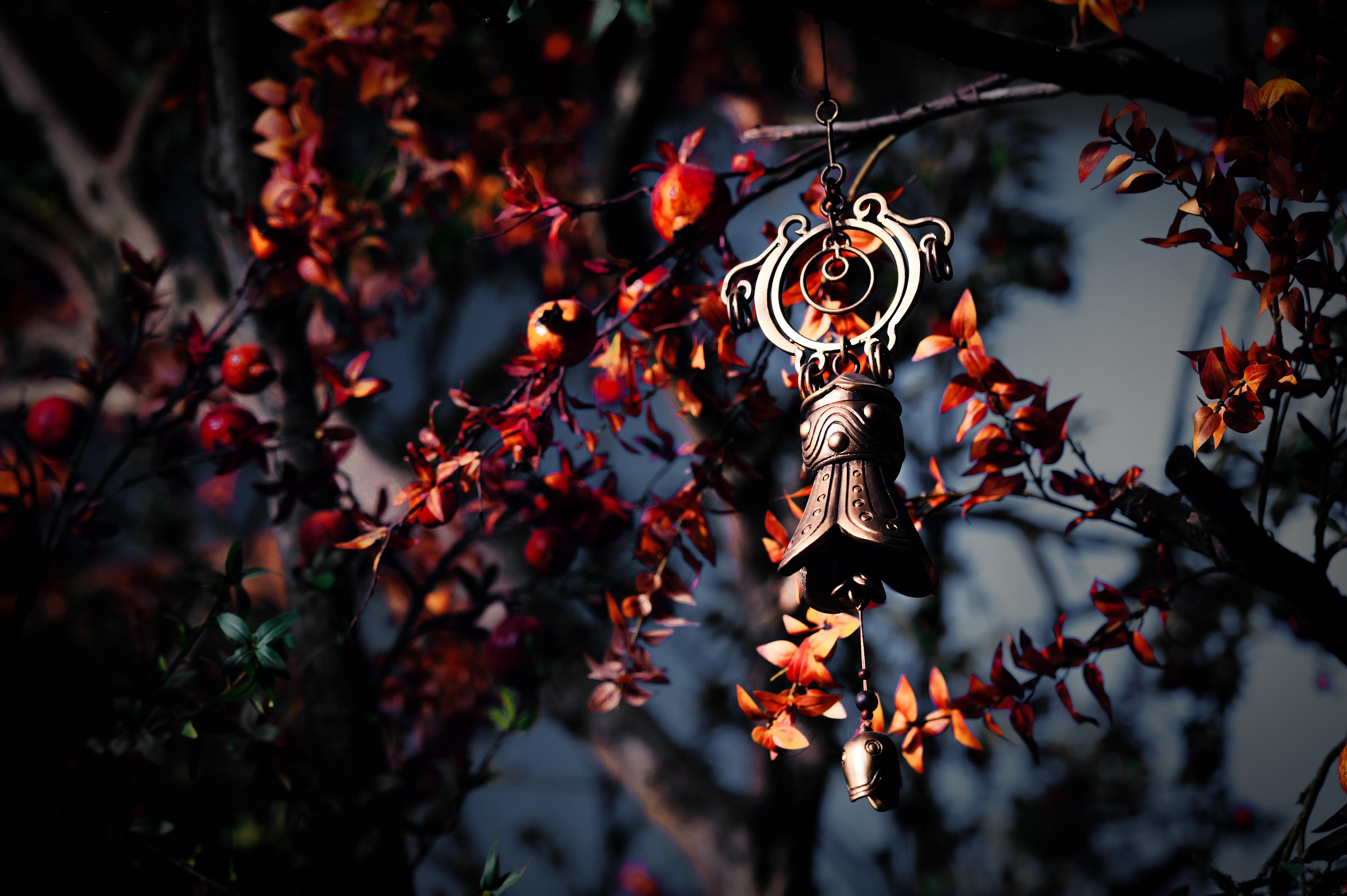 张凌赫真干一行行一行 