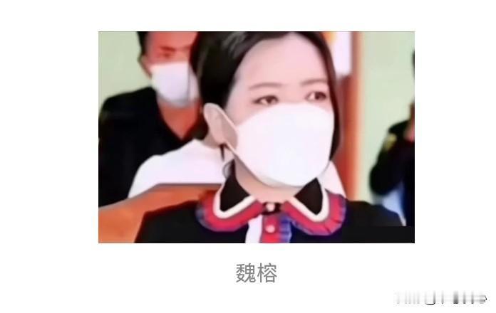 魏榕（又名陈榕），中国就算在世界上掘地三尺，也要找到这个曾经是缅北果敢权力地位最