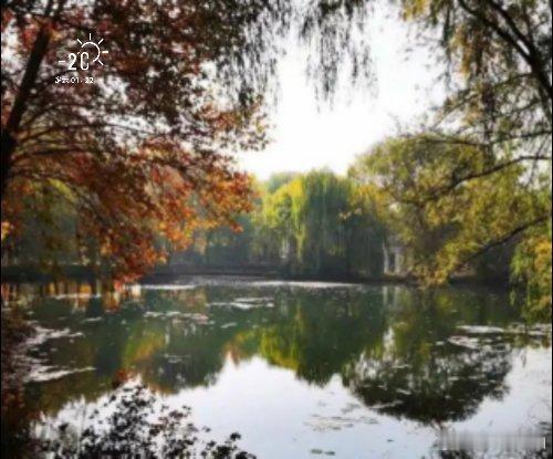 早安      阳光明媚，出门……     