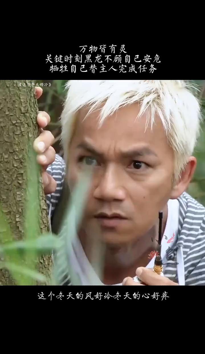 别再说什么“万物皆有灵”了。
你猜对了，动物真的会。
我看过太多主人和宠物的故事